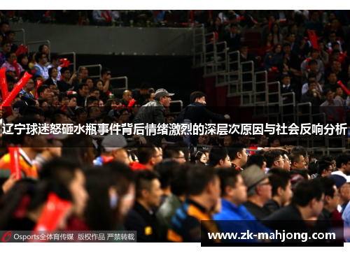 辽宁球迷怒砸水瓶事件背后情绪激烈的深层次原因与社会反响分析