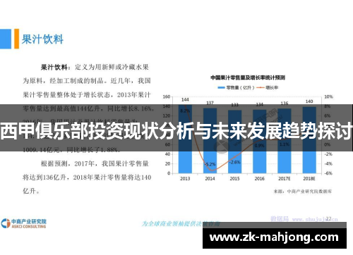 西甲俱乐部投资现状分析与未来发展趋势探讨